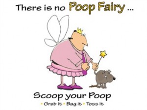 poop fairy